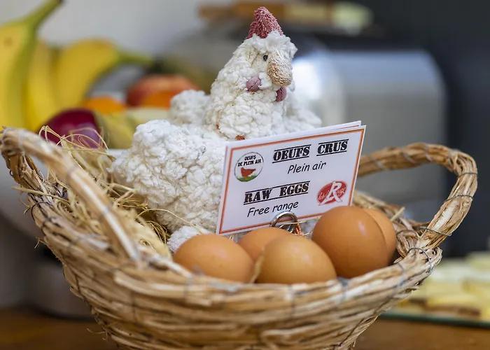 D'aragon Montpellier