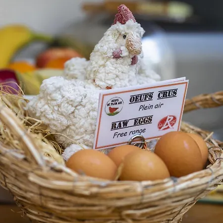 D'aragon - Place De La Comédie - Montpellier