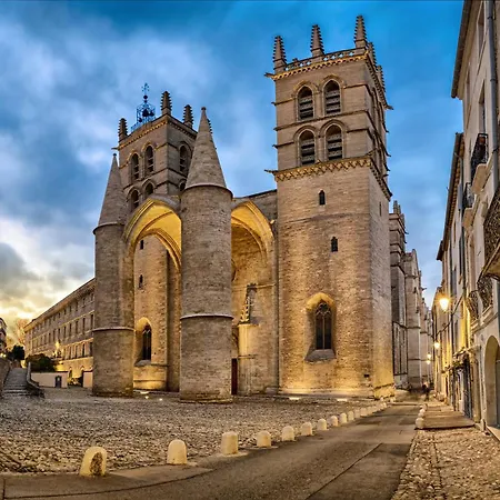 Bed and Breakfast D'aragon - Place De La Comedie -